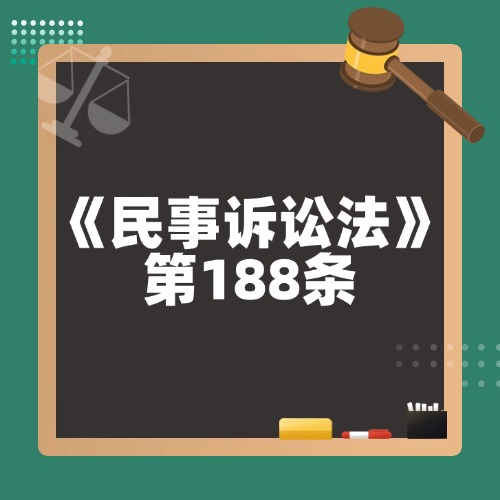 选民资格案件起诉规定
