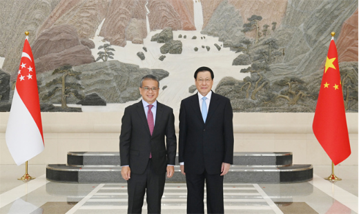 应勇会见新加坡律政部长兼内政部第二部长唐振辉2 应勇会见新加坡律政部长兼内政部第二部长唐振辉2
