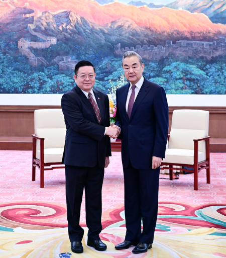 王毅会见东盟秘书长高金洪1 王毅会见东盟秘书长高金洪1